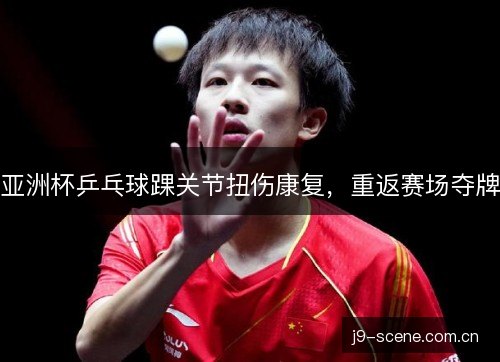 亚洲杯乒乓球踝关节扭伤康复,重返赛场夺牌 亚洲杯乒乓球踝关节扭伤康复,重返赛场夺牌